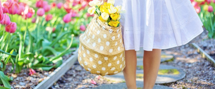 Simple Hacks to Make Your Home Garden More Attractive
