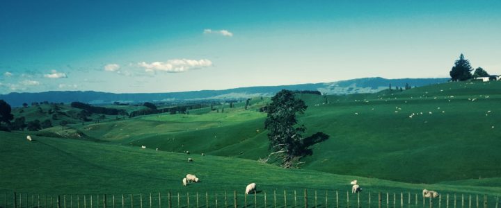 Tips For Finding The Best Fencing Experts