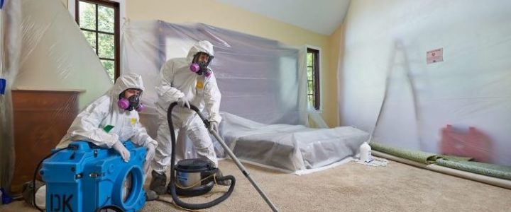 How to Completely Get Rid of Mold from Your Home